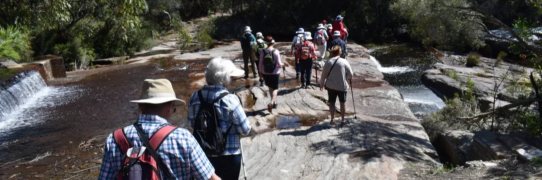 Bush and city walking especially in the Sutherland Shire and Sydney Harbour