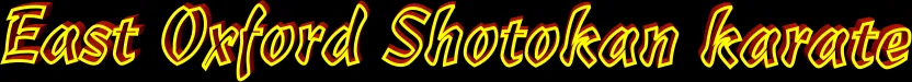 Traditional Shotokan Karate