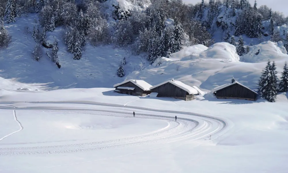 Alpine Ski Group Lessons - Christmas Holidays