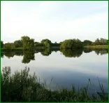 Angling Competitions at Bourton Lake
