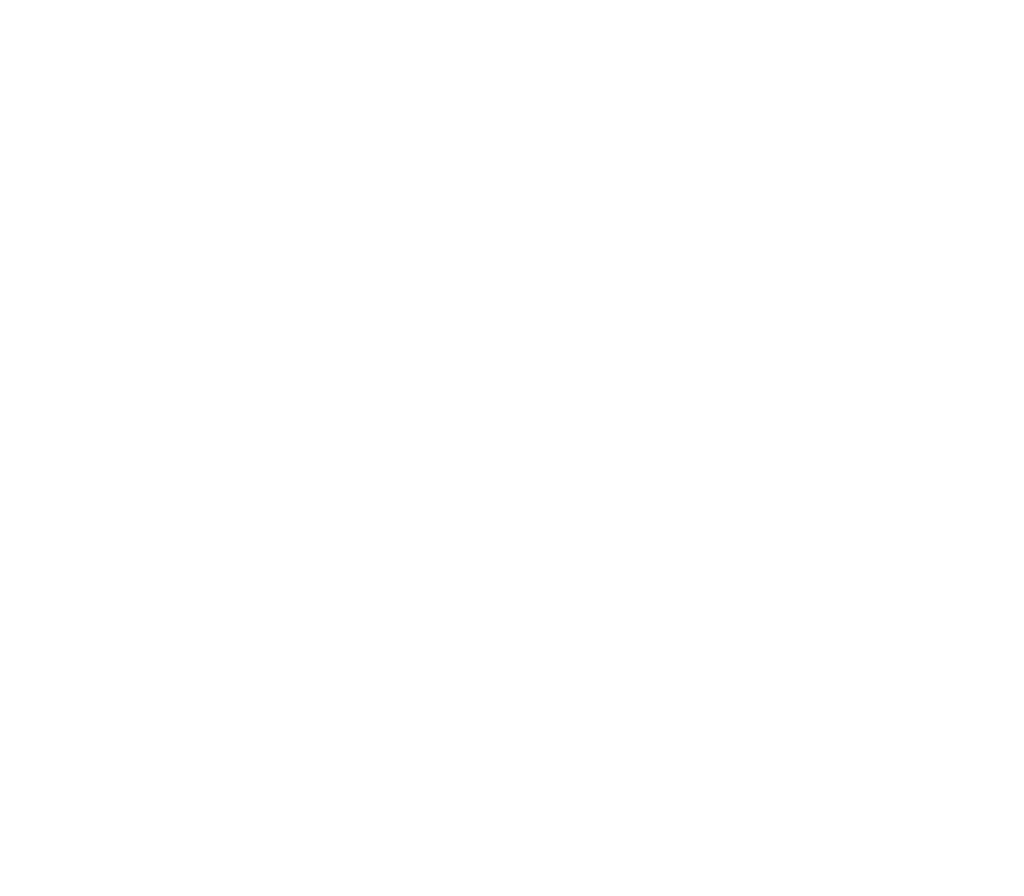 The Body Engineer Personal Trainer
