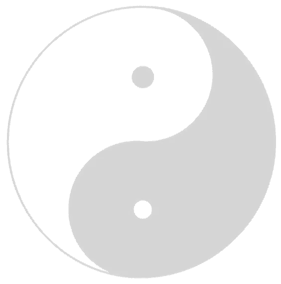Wudang Tai Chi Chuan Classes