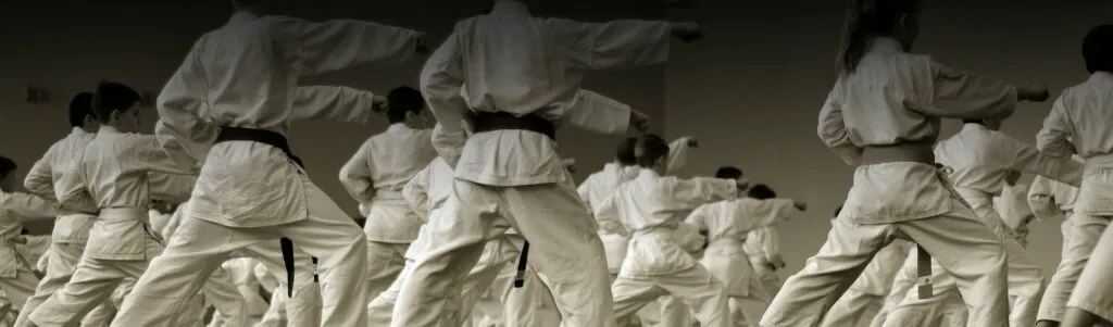 VIC – Region 8 Kumite Tournament