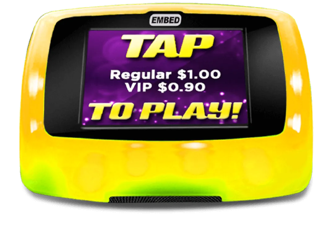 Spin Zone Bumper Cars