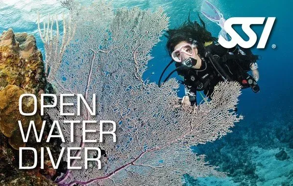 Learn to Dive With Dive Near Me