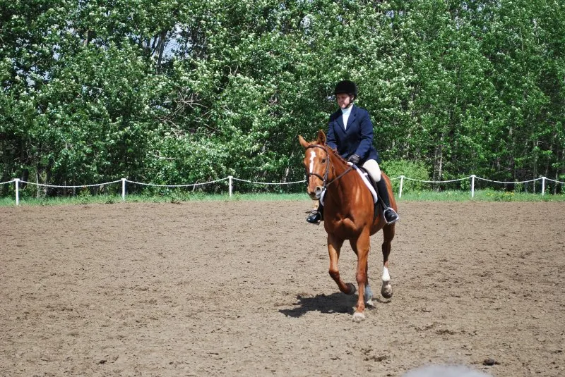 Trendsetting Stables Day Camp