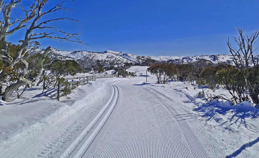 XC Ski Week 2024