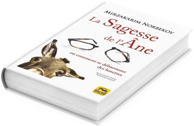 Stage de deuxième niveau Méthode Norbekov en ligne
