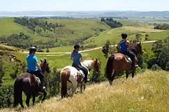 Horse Lease Programme