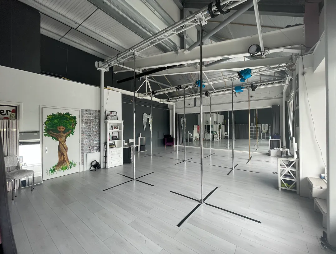 Fly Girls Signature Pole Course