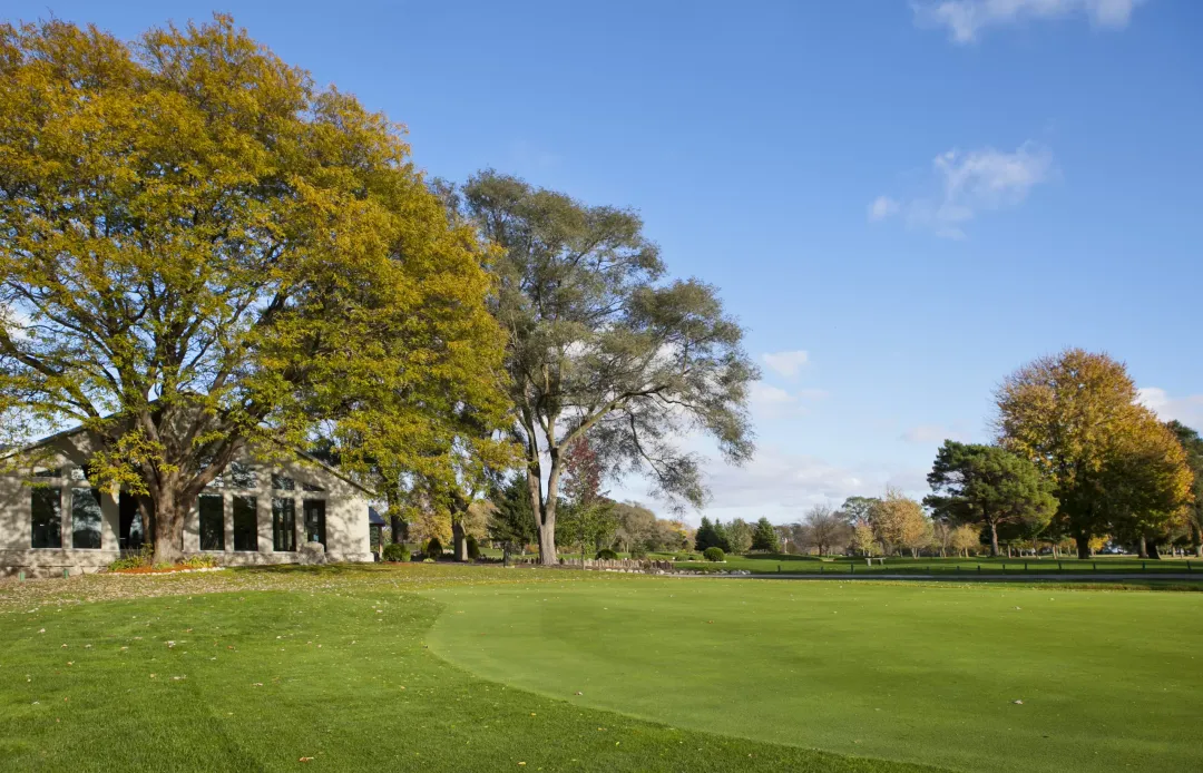 Ladies League Golf Tournament
