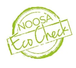 Noosa Learn to Surf