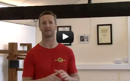 Wing Tzun Self Defense