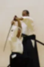 Shuho Jujitsu