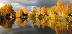 Messingham Sands Fishery