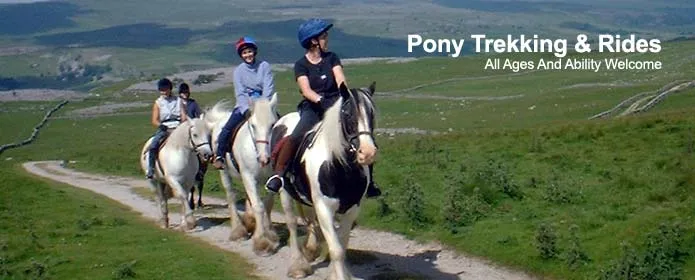 Horse Riding Lessons for Children