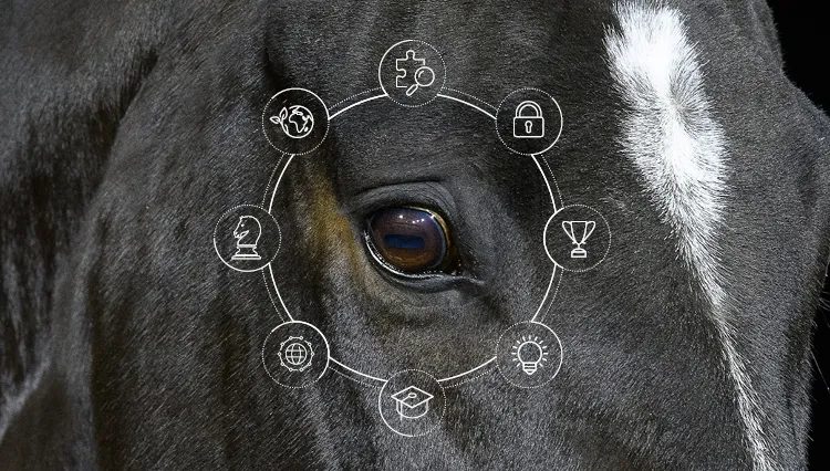 Cavalier préparateur de jeunes chevaux