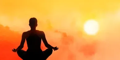 CROWS NEST YOGA