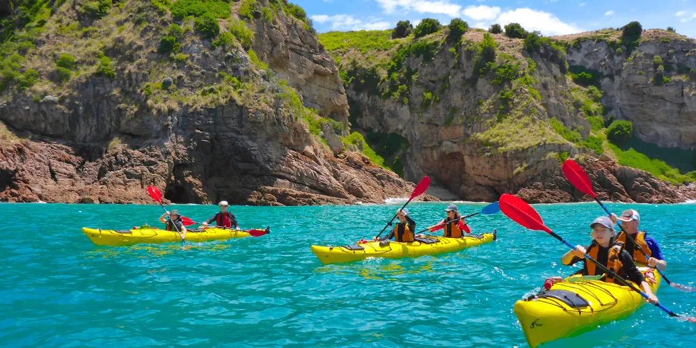 Bayside Kayak Tour
