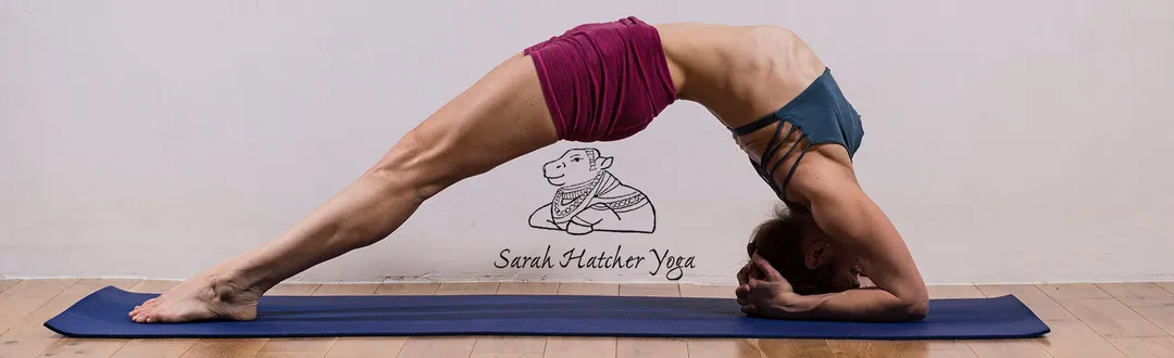 David Garrigues Intermediate Ashtanga Yoga Workshop