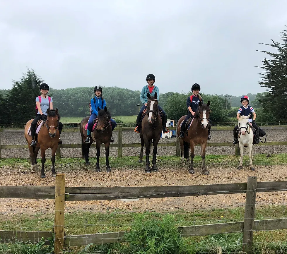 Trotters Riding School and Livery Yard