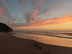 Reflections Yoga, Self-discovery and Yoga Nidra MindRest on Zoom