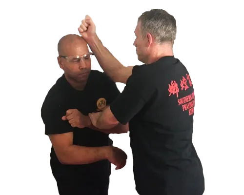 Chow Gar Southern Praying Mantis Kung Fu