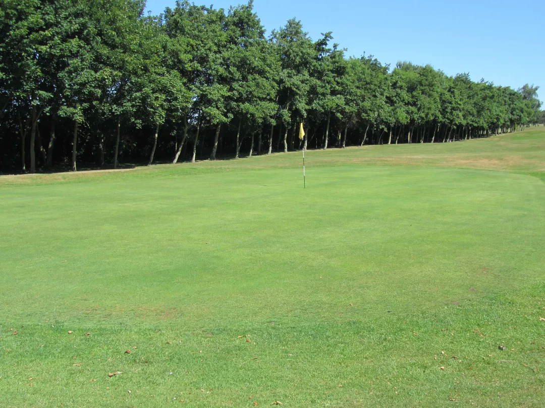 Birtley (Portobello) Golf Club Home Fixtures Results