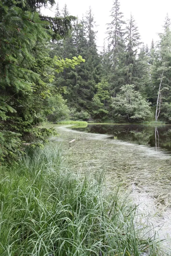 Trail des 7 Laux