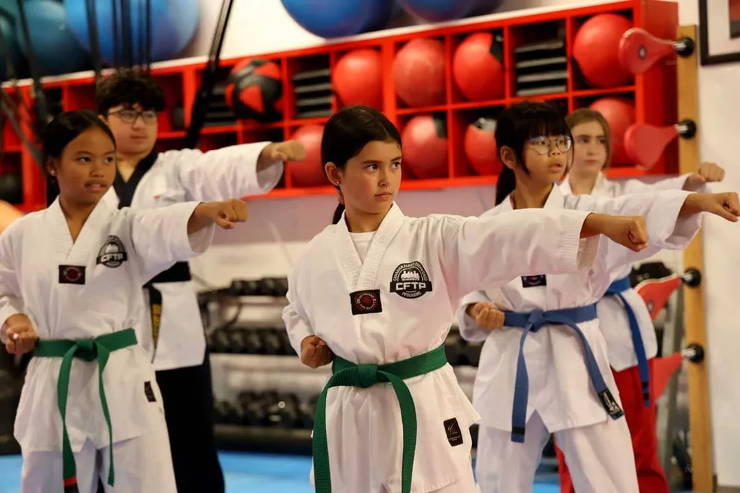 Summer Taekwondo Camp 2024