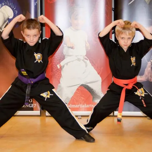 Martial Arts for Kids