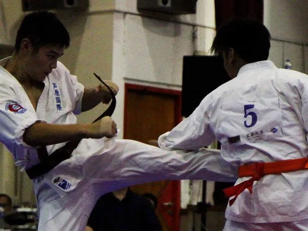 The 1st Karate Champion of Champions