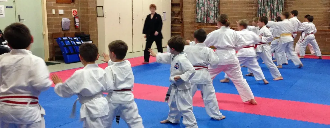 Kimekai Karate