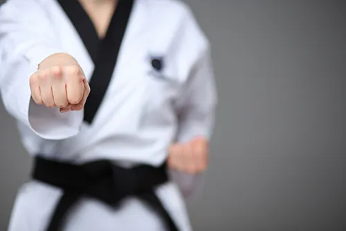 MUDO Martial Arts Afterschool Pick Up & Care Program