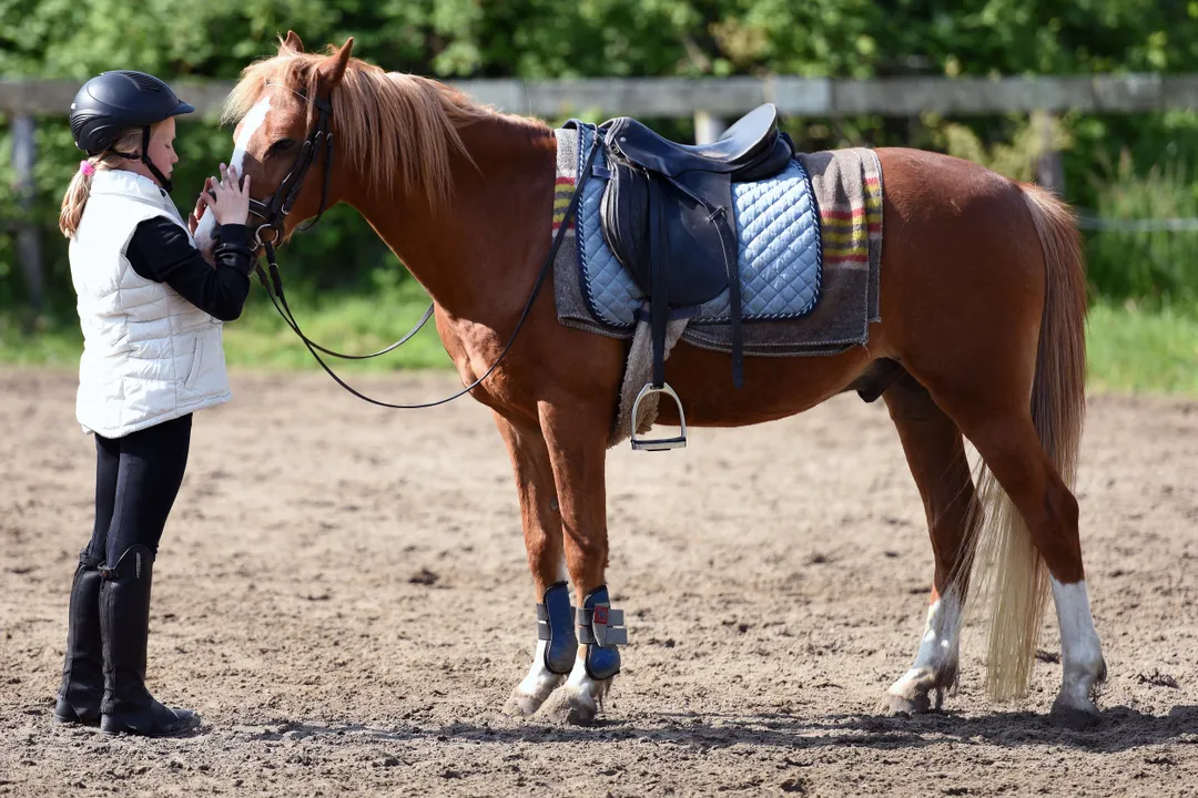 Back Riding Lessons Tiny Tots NDIS Hobby Horse Riding