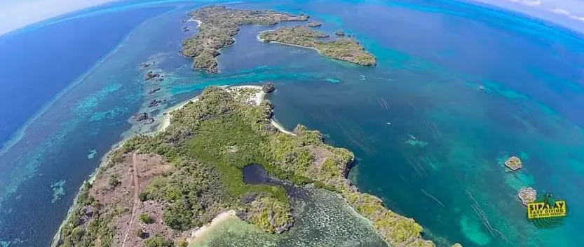 Diving Expedition in Bligh Waters, Fiji