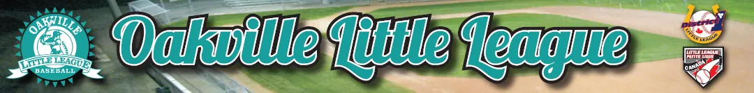 Challenger Baseball Season