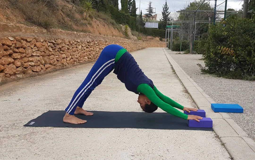 Iyengar Yoga Beginner Course