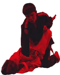Brazilian Jiu-Jitsu & Kickboxing Systems