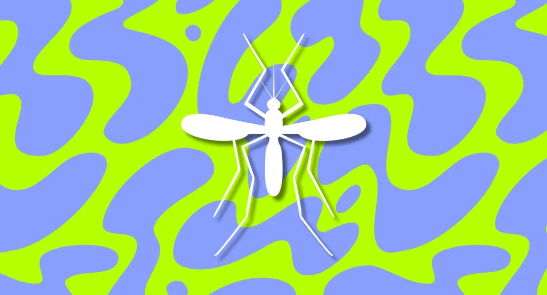 Beat The Skeeters
