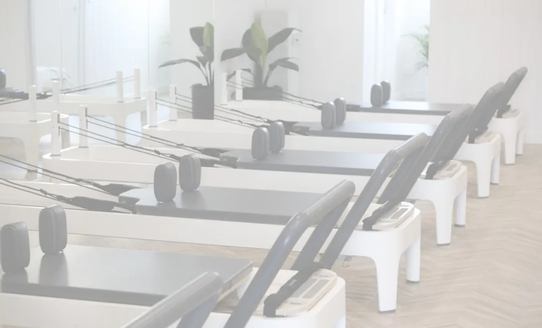 Vivid Pilates