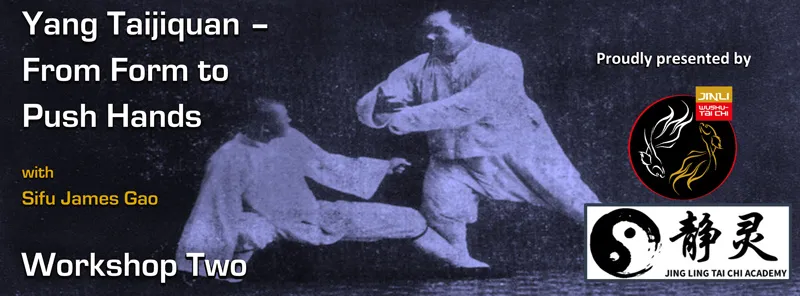 Yang Taijiquan - From Theory to Application - Workshop Three