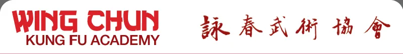 Wing Chun Kung Fu