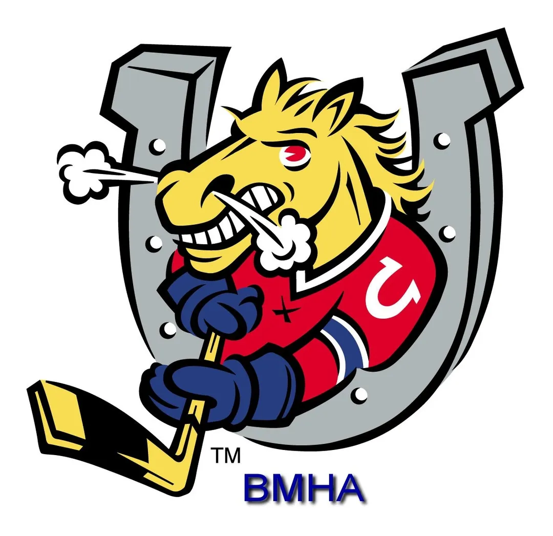 Barrie Minor Hockey Initiation Program