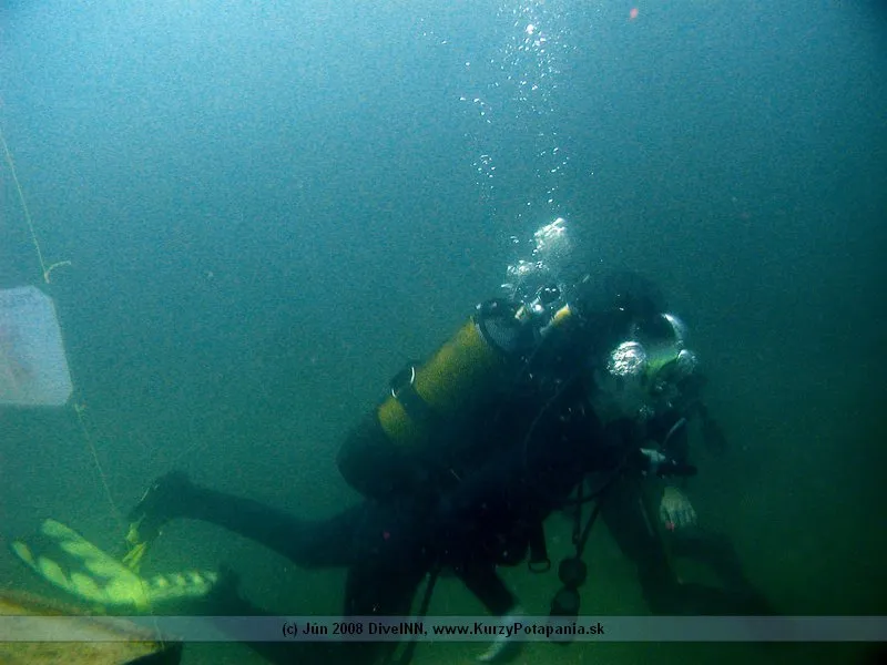 PADI Specialty Course - AWARE Fish Identification