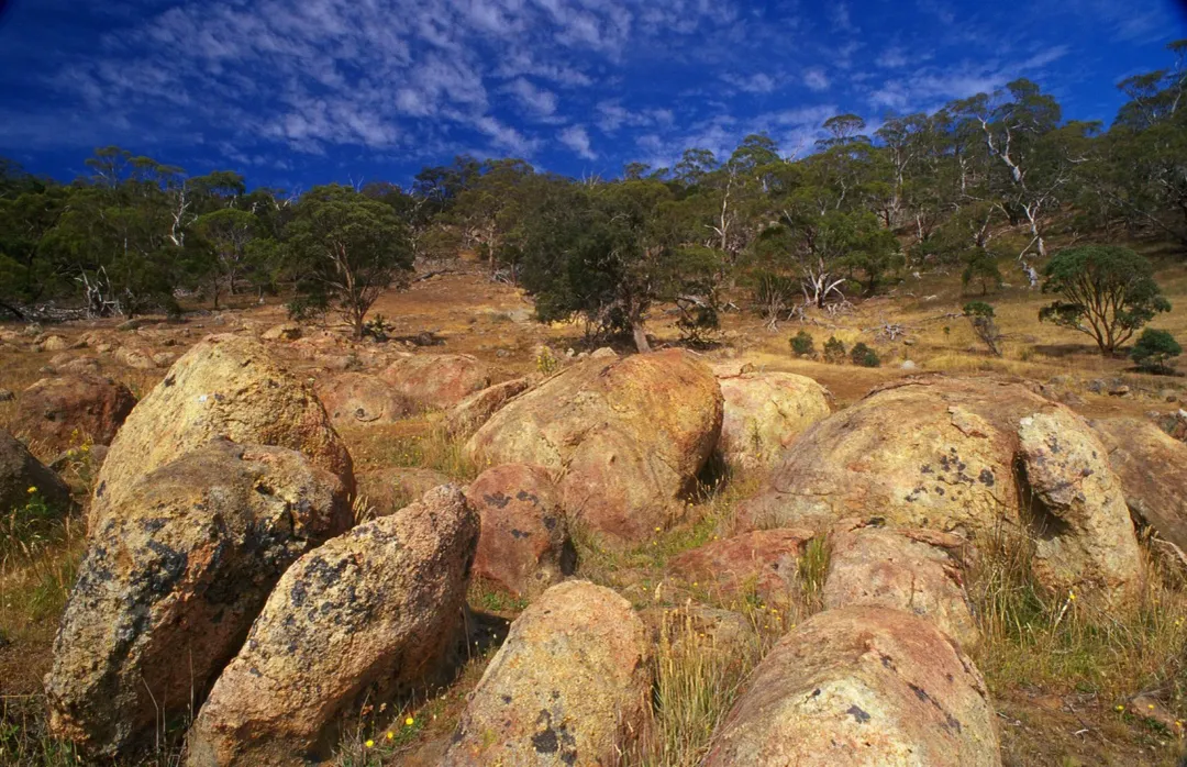 Leanganook Track
