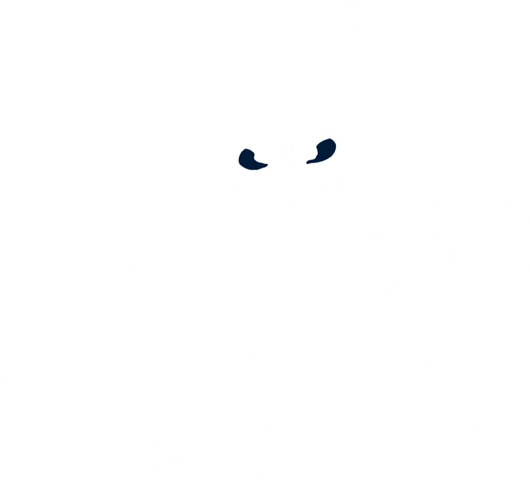 Bunbury Masters Swimming Club Fitness, Friendship and Fun Winter 3 x 400m Postal Swim