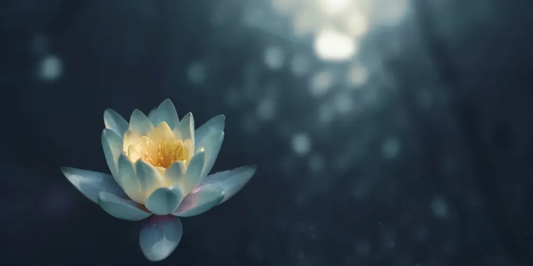 Soul Connection Retreat 2024