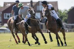 Fifield Polo Academy