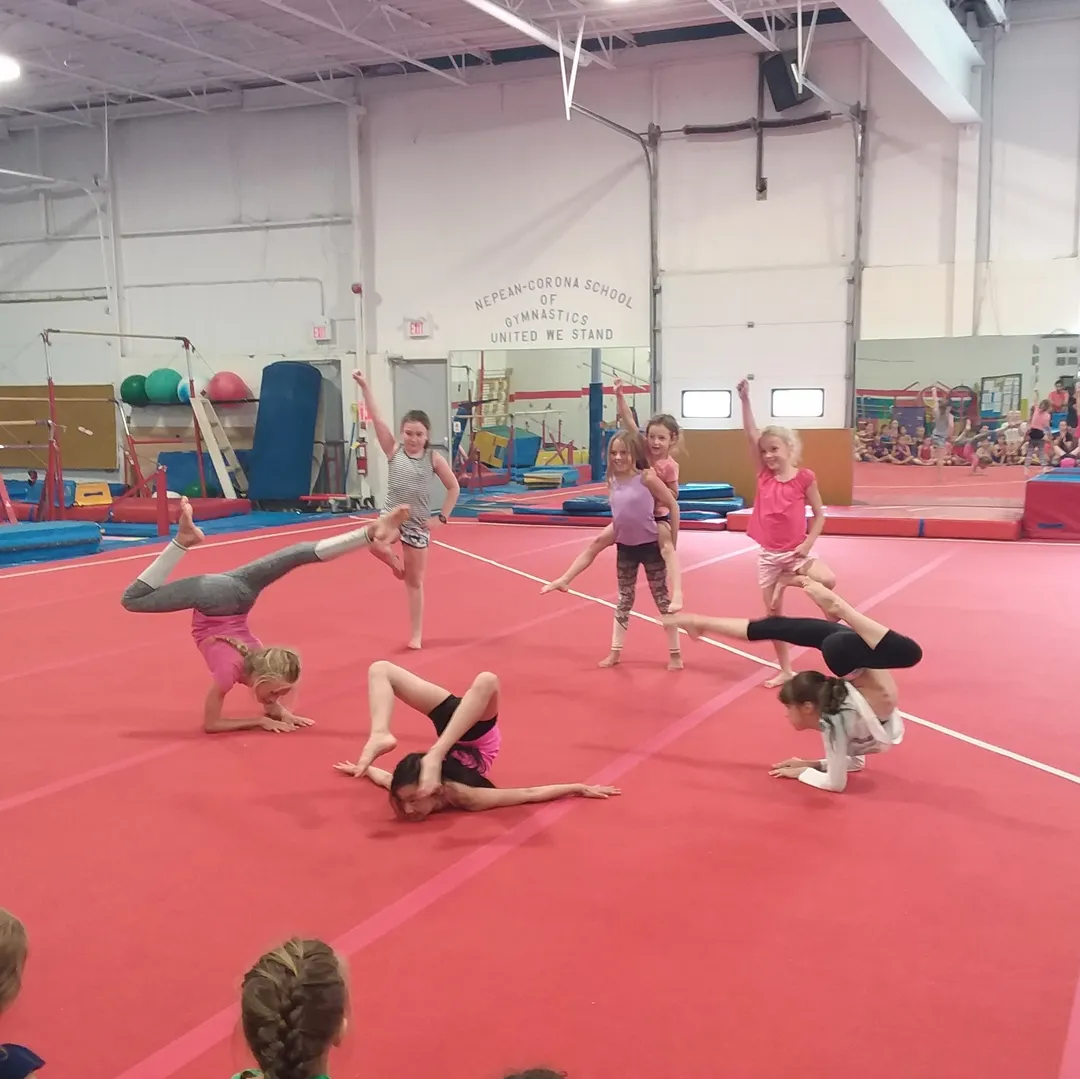 Summer Gymnastics Camp 2024